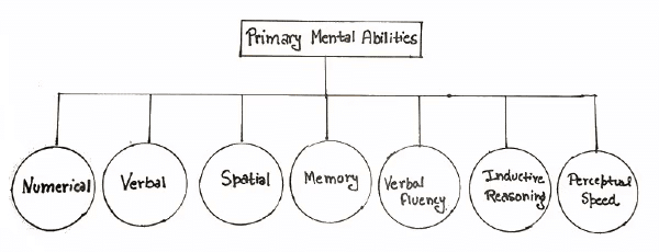 Notes: Thurstone Group Factor Theory of Intelligence | Child Development and Pedagogy for CTET Preparation - CTET & State TET