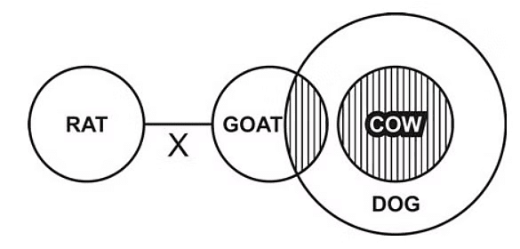 Syllogism Based Questions | General Aptitude for GATE - Mechanical Engineering