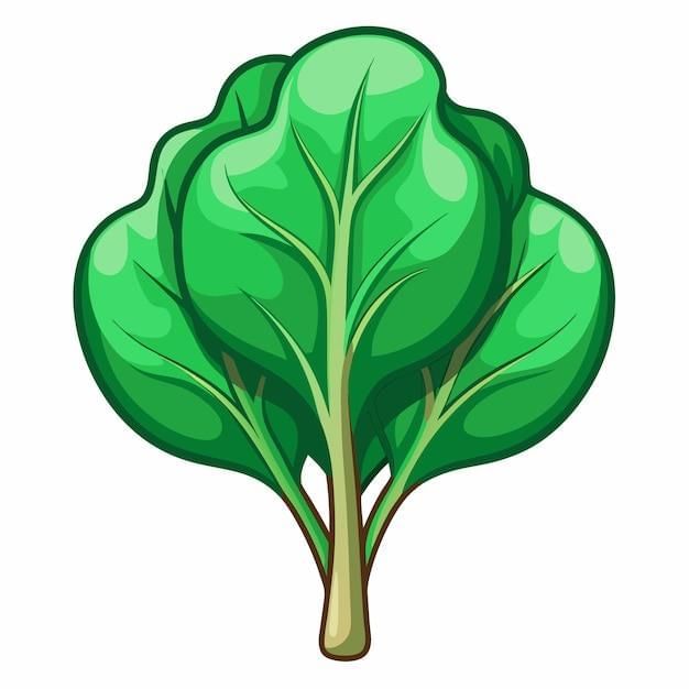 Spinach clipart cartoon style vector illustration | Premium AI-generated  vector