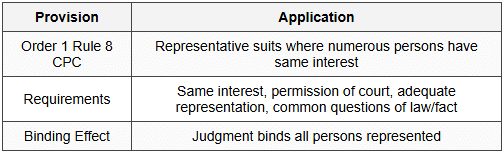 8.2 Legal Framework for Representative Suits