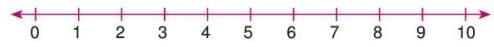 Natural Numbers and Whole Numbers Chapter Notes | Mathematics Class 6 ICSE
