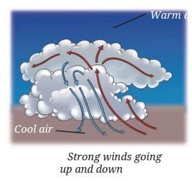 Pressure, Winds, Storms, and Cyclones Chapter Notes | Science Curiosity Class 8 -  New NCERT