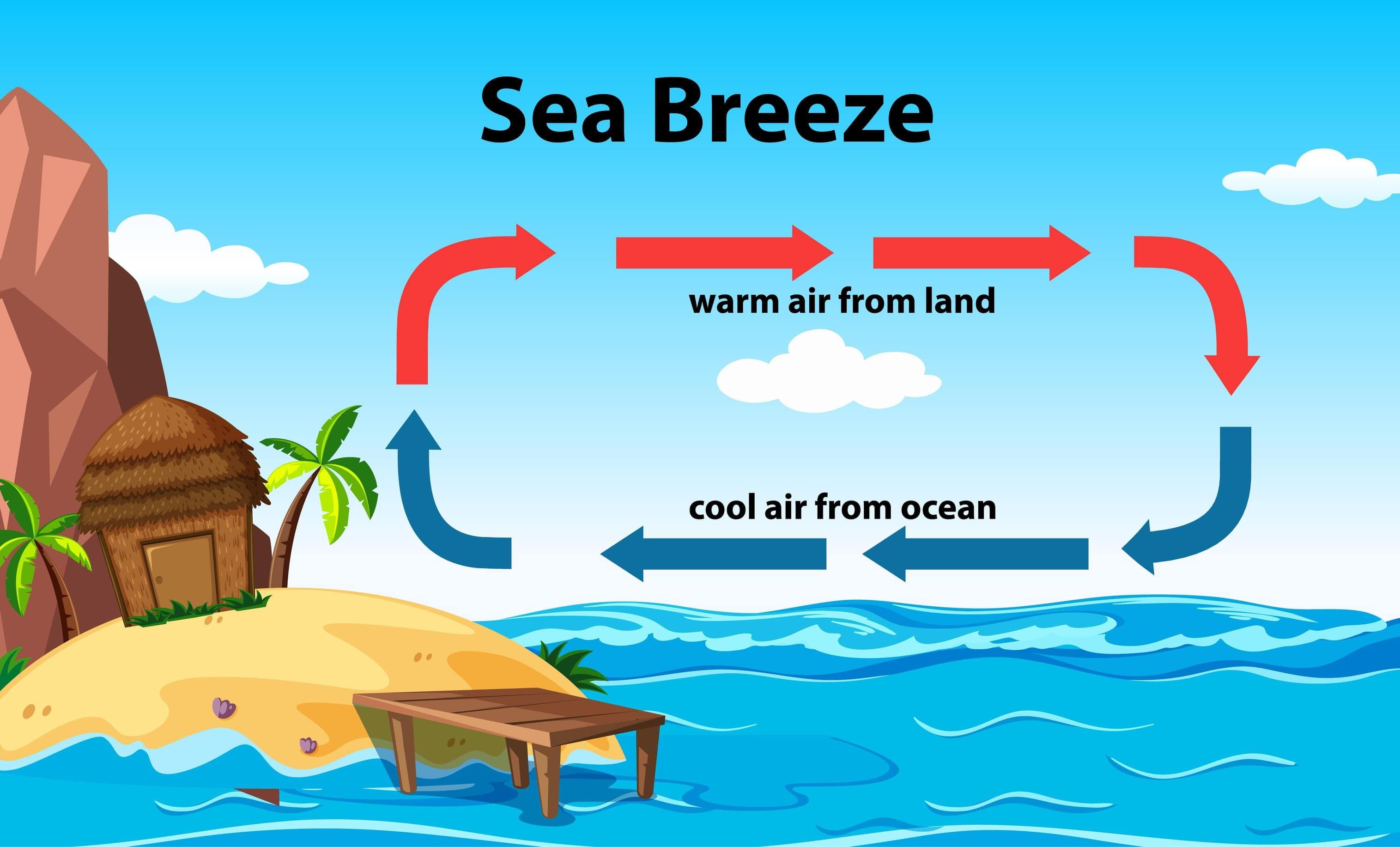 Pressure, Winds, Storms, and Cyclones Chapter Notes | Science Curiosity Class 8 - New NCERT
