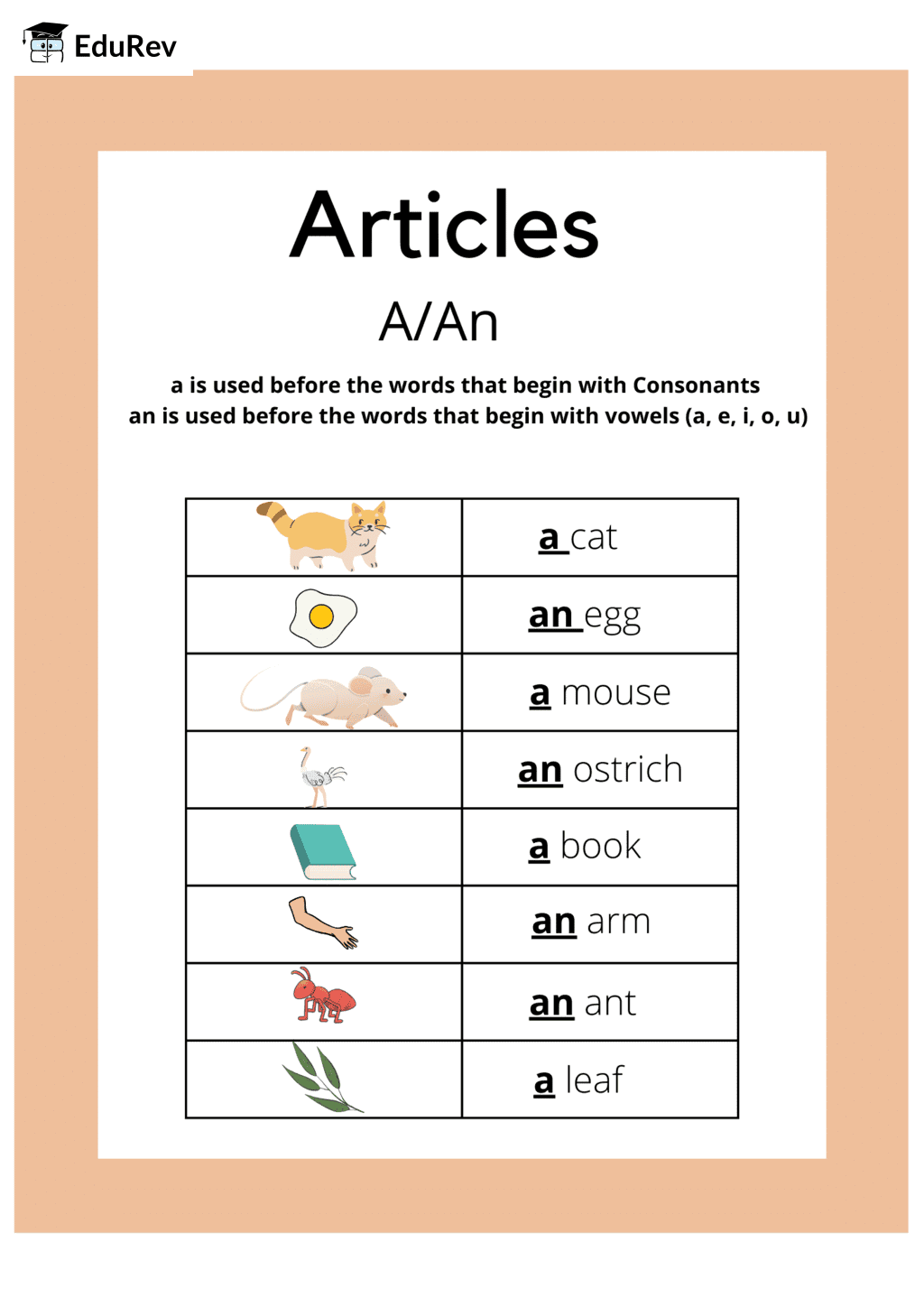 Printable Poster: Article a/an | English for LKG
