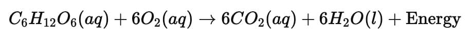 Class 10 Science Chapter 1 Previous Year Questions - Chemical Reactions and Equations