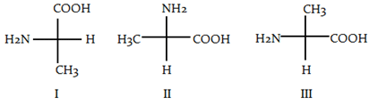 organic-chemistry-questions-answers-enantiomers-q2