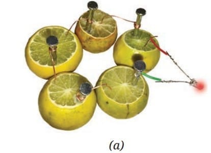 Electric cell made using lemons