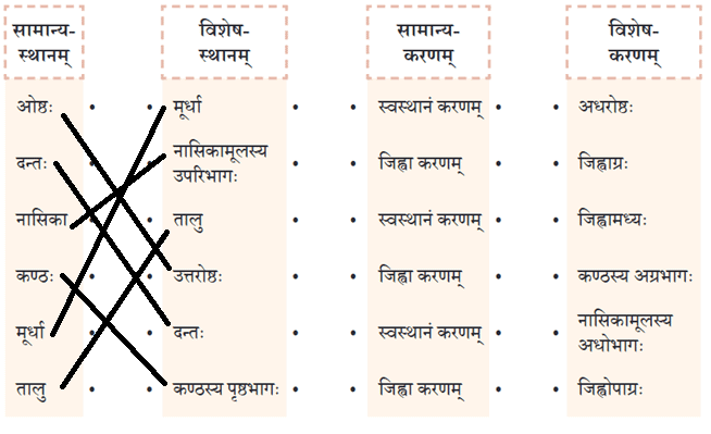 वर्णोच्चारण-शिक्षा १ NCERT Solutions | Sanskrit  (Deepakam) Class  8  -  New  NCERT - Class 8