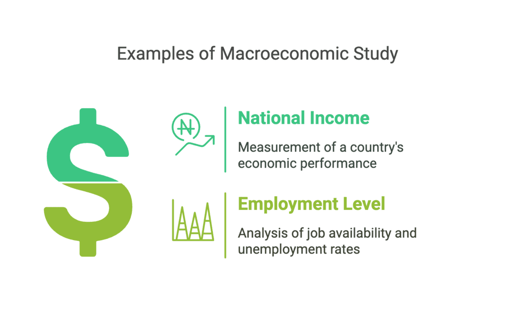 Class 12 Economics Short Questions With Answers - Introduction (Macroeconomics)