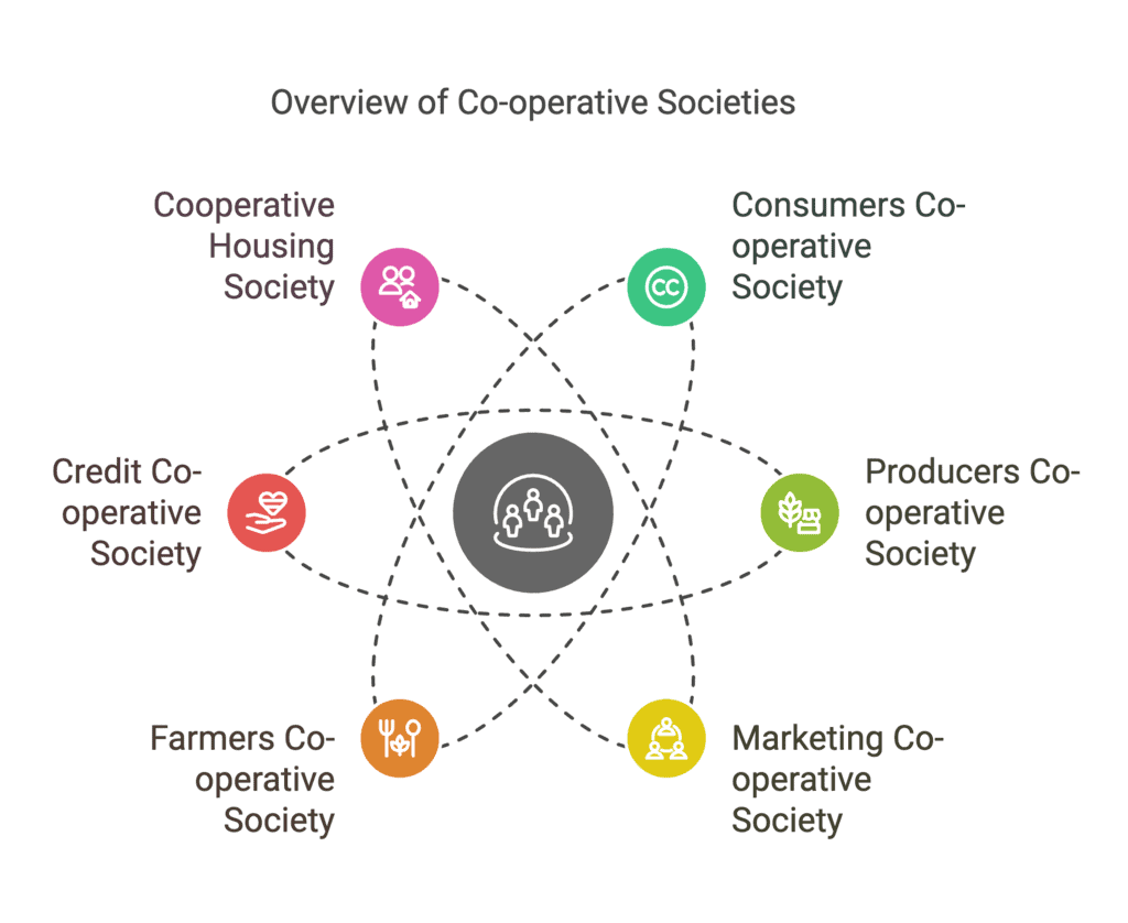 Short Notes & Important Questions - Forms of Business Organisations | Business Studies (BST) Class 11 - Commerce
