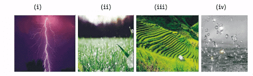 NCERT Solutions for Class 9 English - Song of The Rain