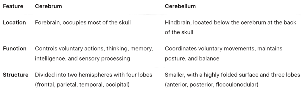 Class 10 Science Chapter 6 Previous Year Questions - Control and Coordination