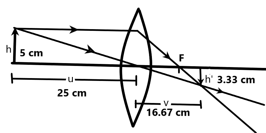 NCERT Solutions for Class 10 Science Chapter 9 - Light Reflection and Refraction