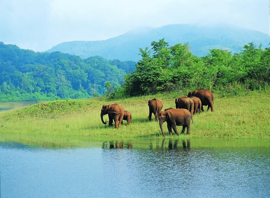 National Parks & Wildlife Sanctuaries in INDIA | General Awareness - Bank Exams