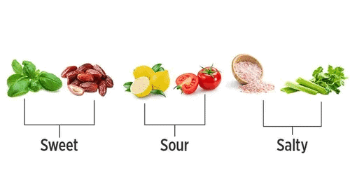 Food we eat Chapter Notes | EVS Class 3: The World around us (Our Wondrous World)