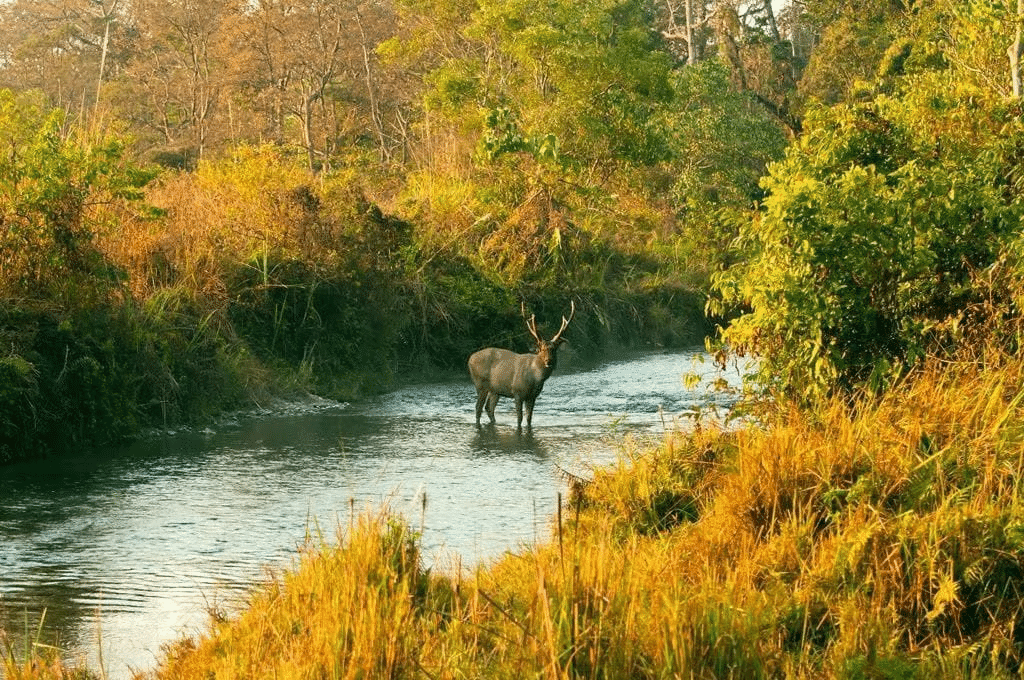 National Parks & Wildlife Sanctuaries in INDIA | General Awareness - Bank Exams