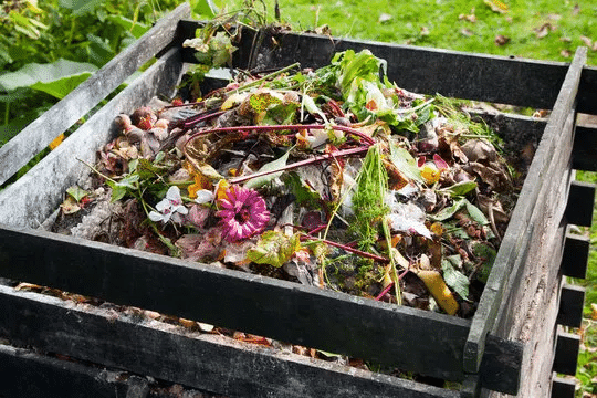 Taking Charge of Waste Chapter Notes | EVS Class 3: The World around us (Our Wondrous World)