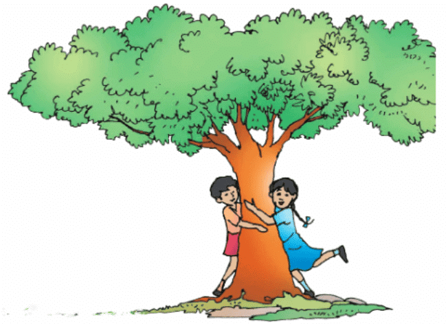 Living in Harmony Chapter Notes | EVS Class 3: The World around us (Our Wondrous World)