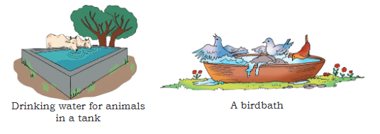 Water- A Precious Gift Chapter Notes | EVS Class 3: The World around us (Our Wondrous World)
