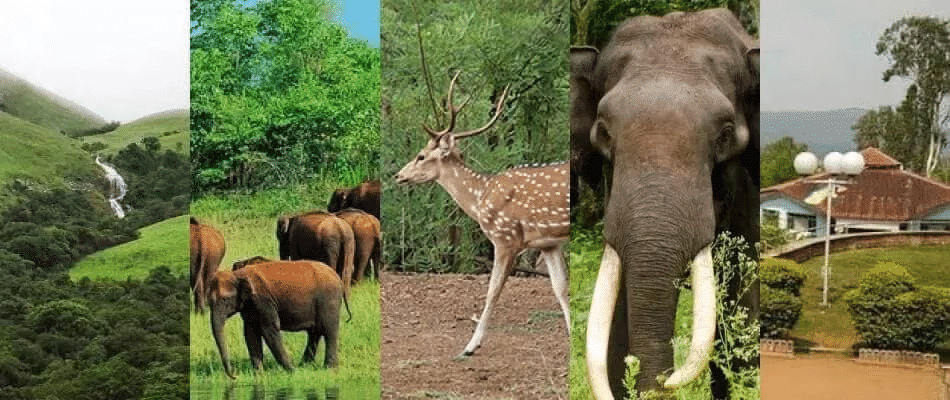 National Parks & Wildlife Sanctuaries in INDIA | General Awareness - Bank Exams