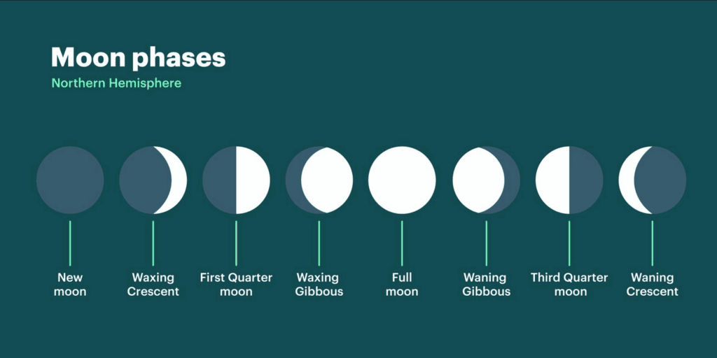 Different Shapes of Moon | General Knowledge for Young Learners - Class 1