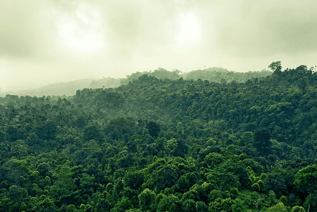 Natural Vegetation & Wildlife - Land, Soil & Water Resources | Social Studies (SST) Class 8