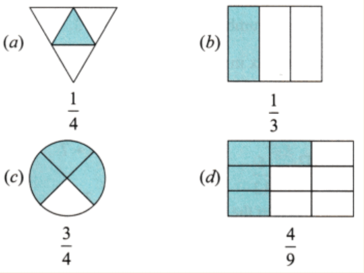 Fractions Chapter Notes | Mathematics for Class 6