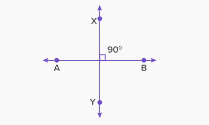 Lines and Angles Chapter Notes | Mathematics (Maths) Class 6