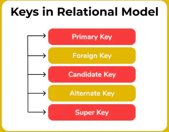 Relational Model | GATE Computer Science Engineering(CSE) 2026 Mock Test Series - Computer Science Engineering (CSE)