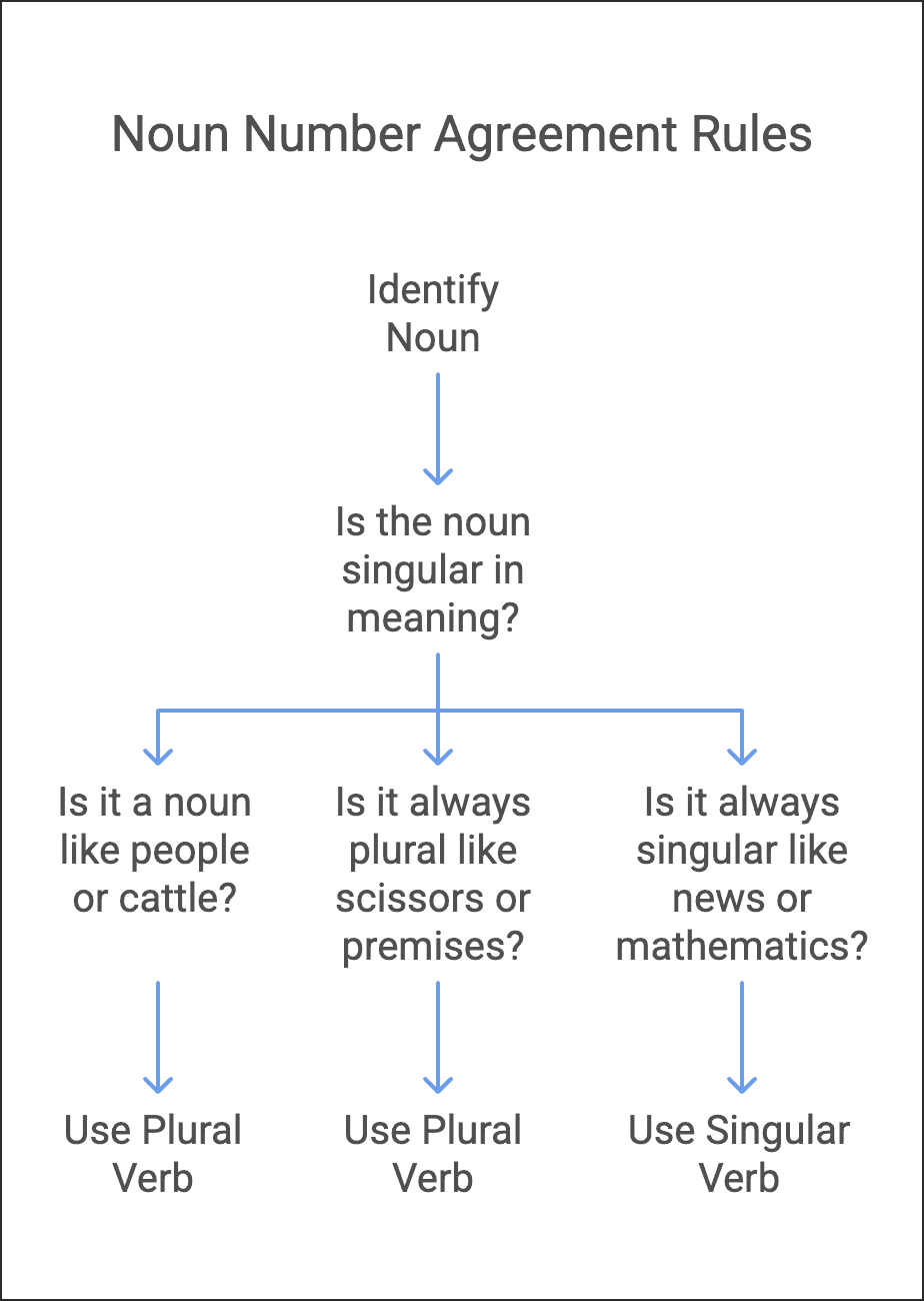 Wren and Martin Summary: Nouns | Verbal Ability & Reading Comprehension (VARC) - CAT