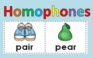 Worksheet: Trees, Plants, Flowers and Fruits | Spelling Bee - Class 1