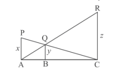 Previous Year Questions: Triangles | Mathematics (Maths) Class 10