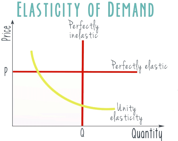 Revision Notes: Elasticity of Demand | Economics for Grade 9