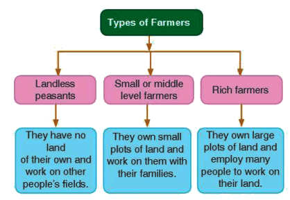 Rural livelihood Chapter Notes | Civics Class 6 ICSE
