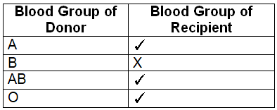 Revision Notes: The Circulatory System | Basic Science for JSS 3