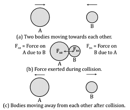 Revision Notes: Force | Physics Class 10 ICSE