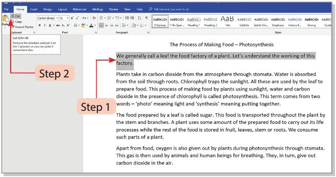 Tools of Word Processor Chapter Notes | Computer Studies Class 4 ICSE