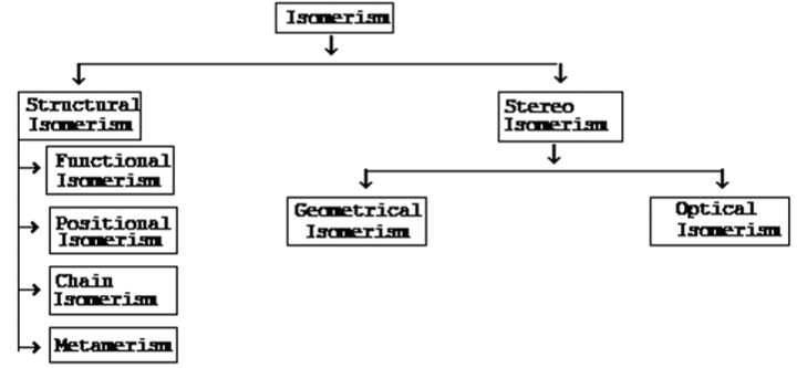 Revision Notes: Organic Chemistry - Hydrocarbons | Chemistry Class 10 ICSE