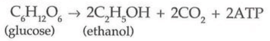 Food Production Chapter Notes | Biology for Grade 10