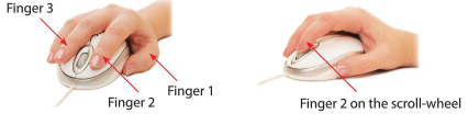 Computer Mouse Chapter Notes | Computer Studies Class 1 ICSE
