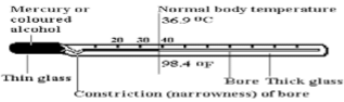 Revision Notes: Measurement | Physics Class 6 ICSE