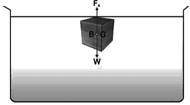 Revision Notes: Upthrust In Fluids, Archimedes` Principle And Floatation | Physics Class 9 ICSE