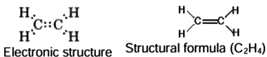 Revision Notes: Organic Chemistry - Hydrocarbons | Chemistry Class 10 ICSE