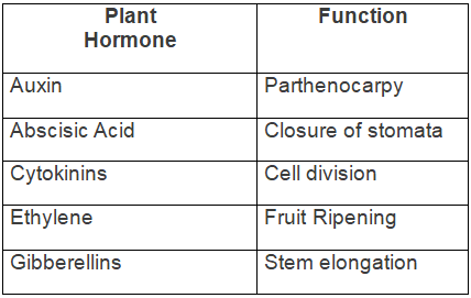 Selina Textbook Solutions: Chemical Coordination in Plants | Biology Class 10 ICSE