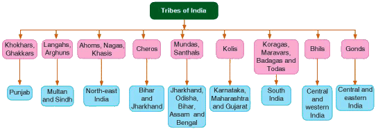 Tribal Communities Chapter Notes | History Class 7 ICSE