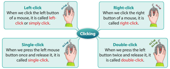 Computer Mouse Chapter Notes | Computer Studies Class 1 ICSE