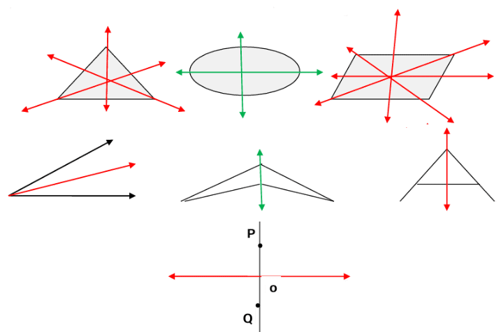 Revision Notes: Symmetry - Including Constructions | Maths Olympiad Class 6