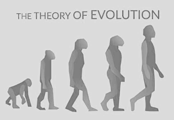 Revision Notes: Human Evolution | Biology Class 10 ICSE