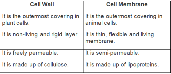 Selina Textbook Solutions: Cell - The Structural and Functional Unit of Life | Biology Class 10 ICSE