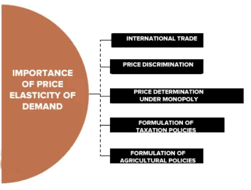 Revision Notes: Elasticity of Demand | Economics for Grade 9